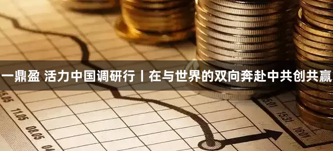 一鼎盈 活力中国调研行丨在与世界的双向奔赴中共创共赢